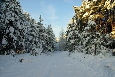 《英雄联盟》S12赛程时间公布 不用熬夜但要早起